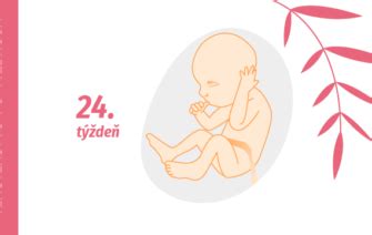 Zmeny v tele ženy v 24. týždni tehotenstva