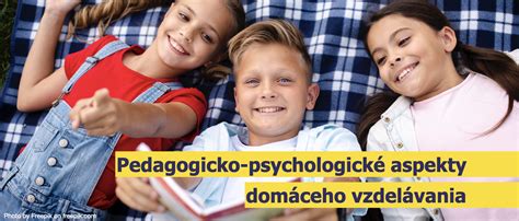 Infografika o fungovaní domáceho vzdelávania