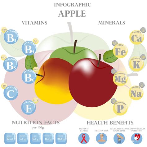 Infografika s nutričnými hodnotami šípok