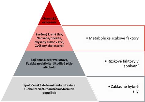 Infografika s rizikovými faktormi pre vznik žlčníkových kameňov