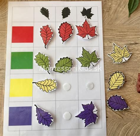 montessori aktivita umývanie kamienkov