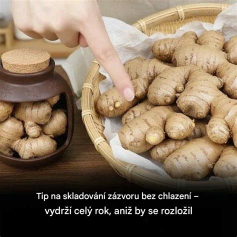 Čerstvý zázvor a šálka zázvorového čaju