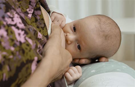 Vývoj prsníka počas tehotenstva a tvorba kolostra