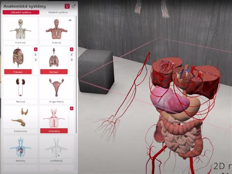 Ilustrácia anatomických štruktúr