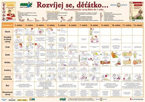 Vývoj motorických schopností dojčaťa