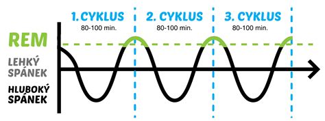 Grafika zobrazujúca cykly spánku