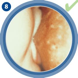 Schéma správneho prisatia bábätka k prsníku