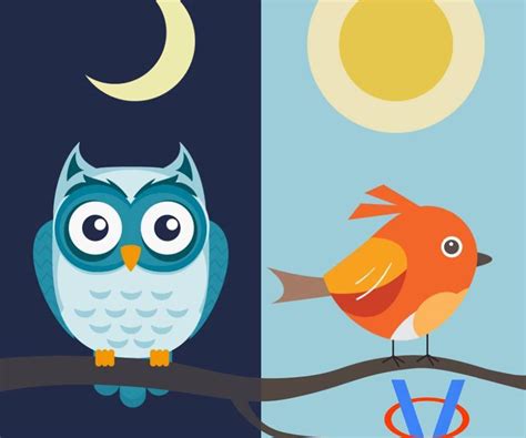 Ilustrácia chronotypov “sova” a “ranné vtáča”