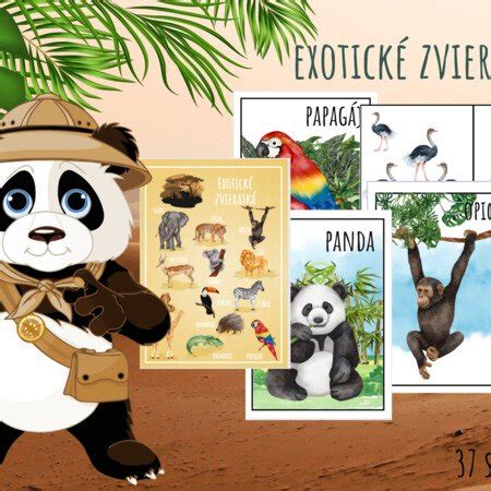 Ilustrácia zvieratiek zo Zoo
