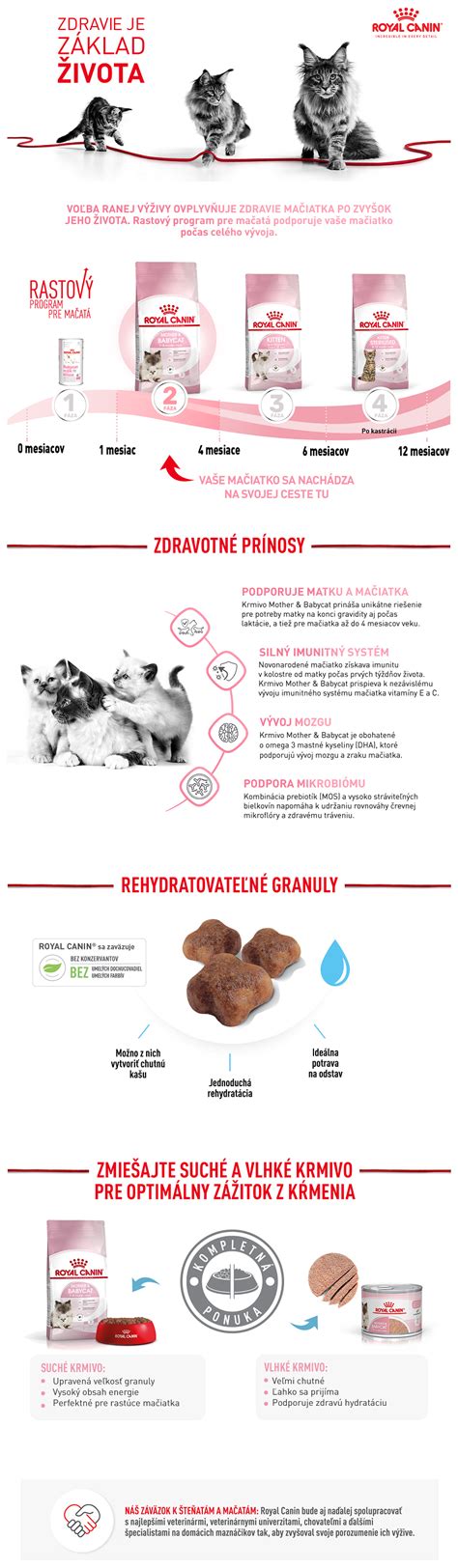 Porovnanie vlhkého a suchého krmiva pre mačiatka