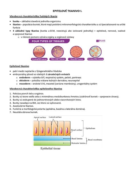 Schéma aplikácie ultrazvuku na ľudské tkanivo