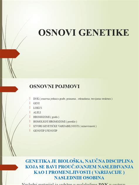 Schéma chromozómov a ich význam v genetike
