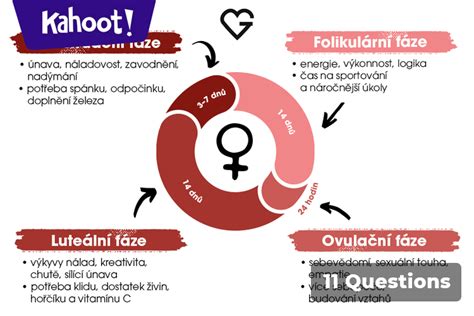 Ilustrácia ženského reprodukčného systému a označenie ovulácie