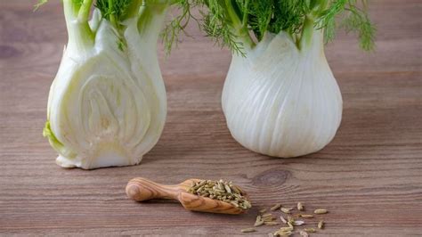 Rôzne jedlá pripravené z feniklu