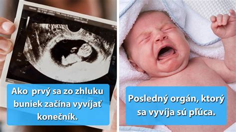 Vývoj dieťaťa v maternici