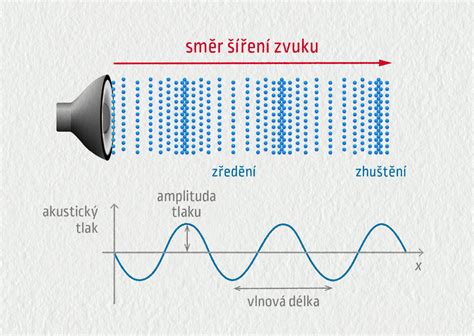 Schéma echolokácie netopiera