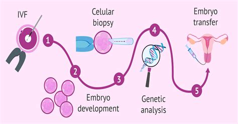 Proces preimplantačného genetického testovania (PGT)