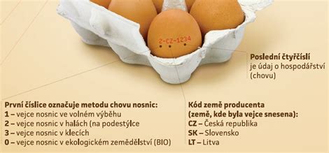 Infografika o označení vajec podľa spôsobu chovu