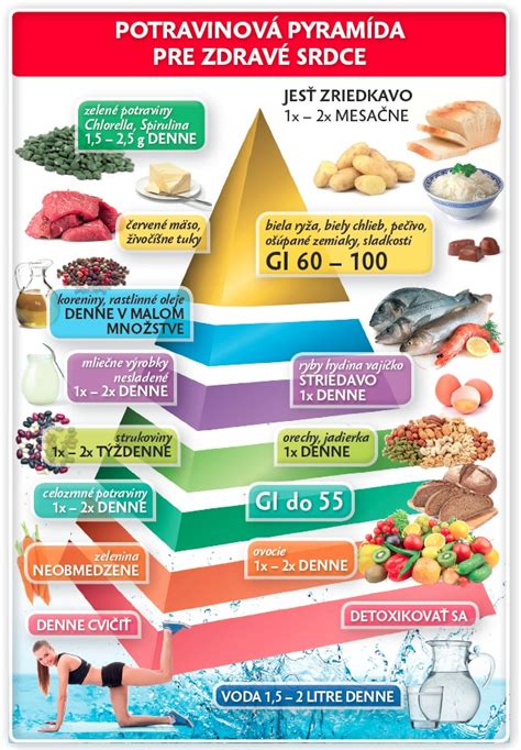Výživová pyramída pre gravidné mačky