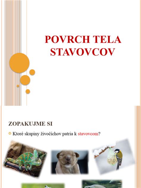 rozmanitosť stavovcov