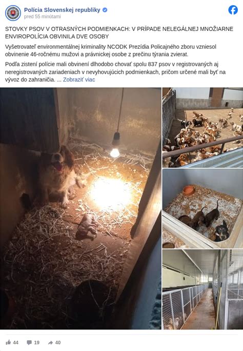 Štatistika cisárskych rezov u rôznych plemien psov