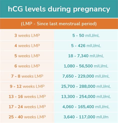 infografika týkajúca sa hCG