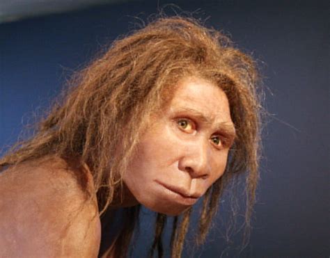 Fosílie Homo erectus georgicus z Dmanisi