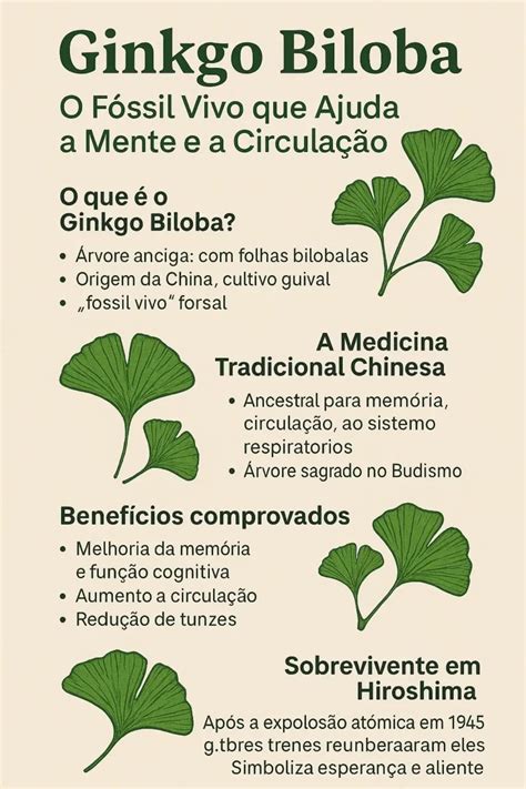 Infografika o účinkoch Ginkgo Biloba