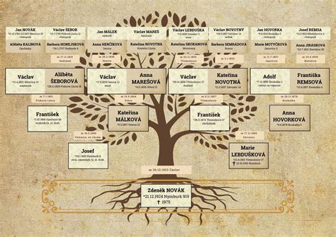 Rodinný strom znázorňujúci vzťahy medzi generáciami