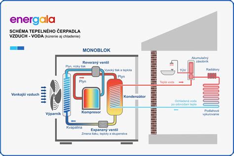Schéma fungovania placenty a prenosu živín