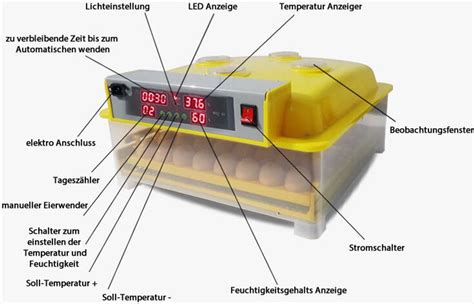 Ilustrácia procesu kryokonzervácie vajíčok