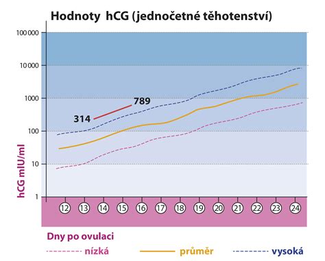 graf nárastu hCG v krvi v závislosti od dní po oplodnení