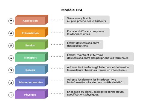Schéma osi hypotalamus-hypofýza-testis