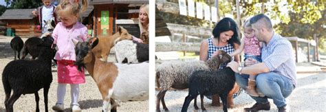 Ilustrácia opatrovateliek s deťmi v jasliach