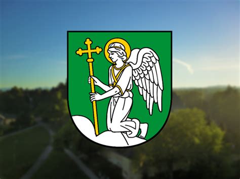 Screenshot webovej stránky mesta Prievidza s formulárom prihlášky