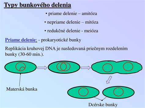Schéma bunkového delenia a reprodukcie