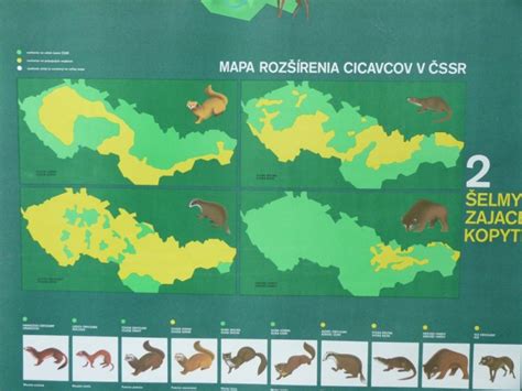 Mapa rozšírenia jeleňa lesného