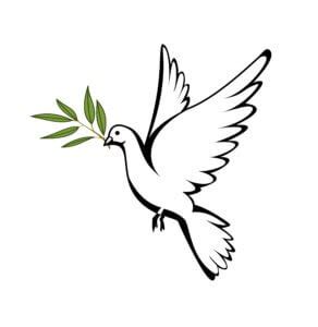 Symbol krstu - holubica a voda