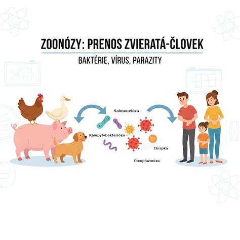 Grafika znázorňujúca proces očkovania