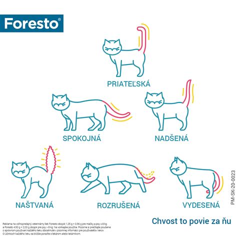 Reč tela mačky