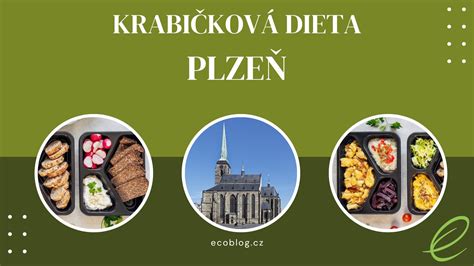 dieta v kociku v lete