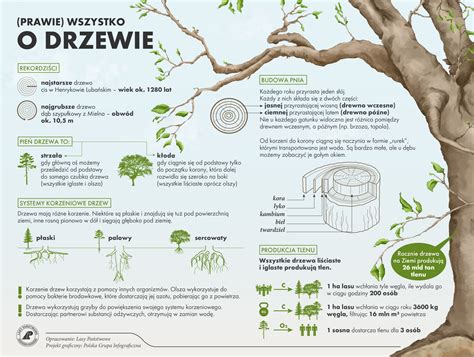 infografika o správnej technike dojčenia