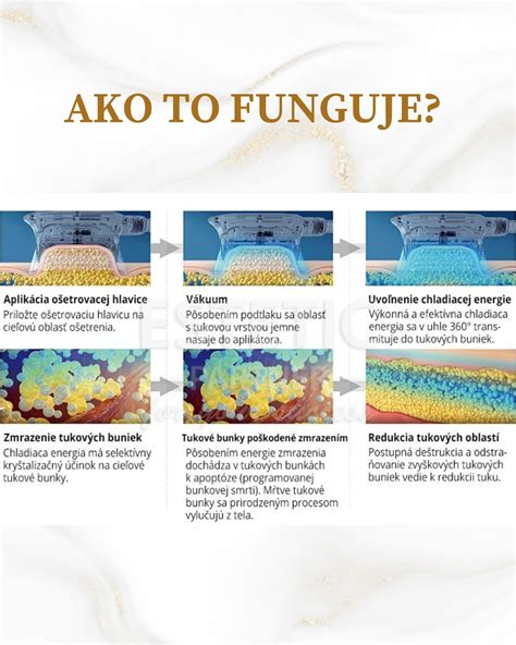štruktúra tukových buniek