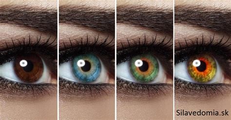 Schéma dedičnosti farby očí