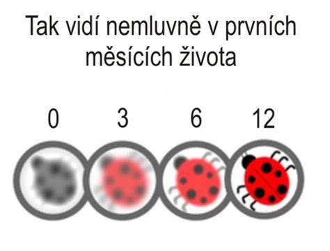Vývoj zraku dieťaťa
