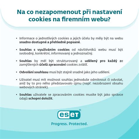 Infografika o type súborov cookies