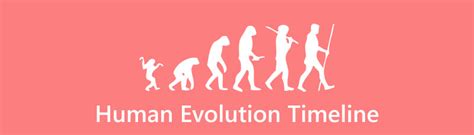 Ilustrácia ľudskej evolúcie a stravovania