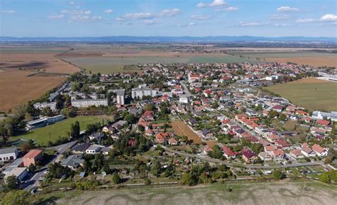 Zlaté klasy čerstvej kukurice