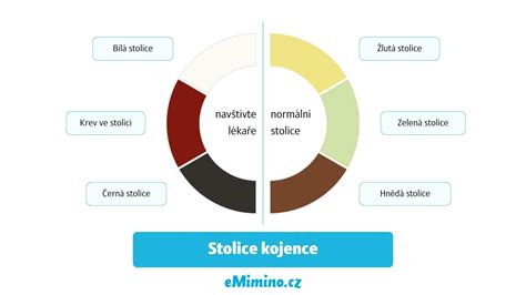 Schéma zobrazujúca rôzne farby krvi v stolici a ich možné príčiny
