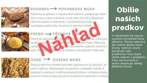 Ilustrácia starovekých obilnín a mlynských kameňov